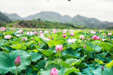 Daar is de lente – denk je aan je zelfzorg?